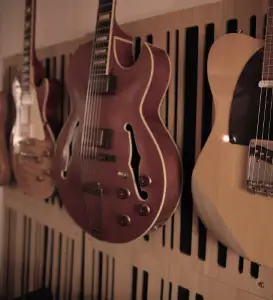 Acoustic Guitars