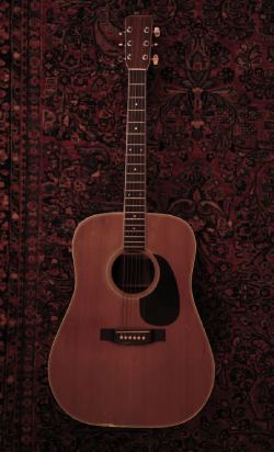 acoustic guitar