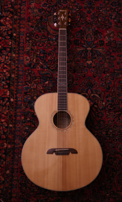 acoustic guitar