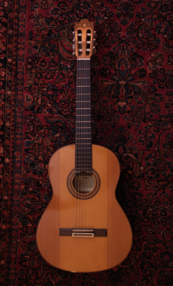 acoustic guitar